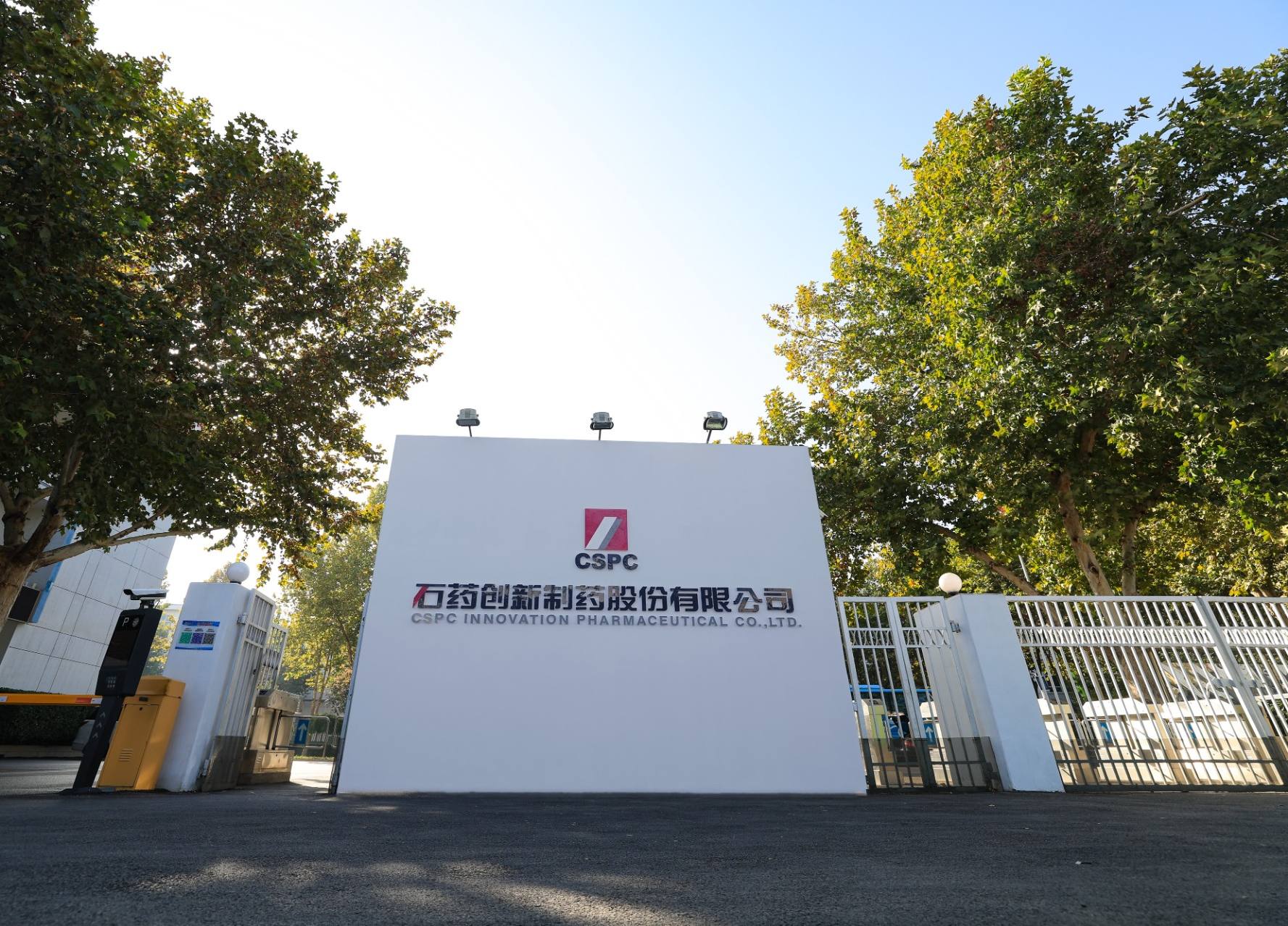 公司新闻_6008集团官方网站