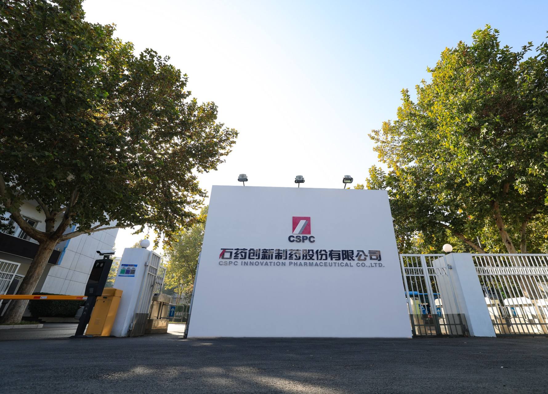 公司新闻_6008集团官方网站